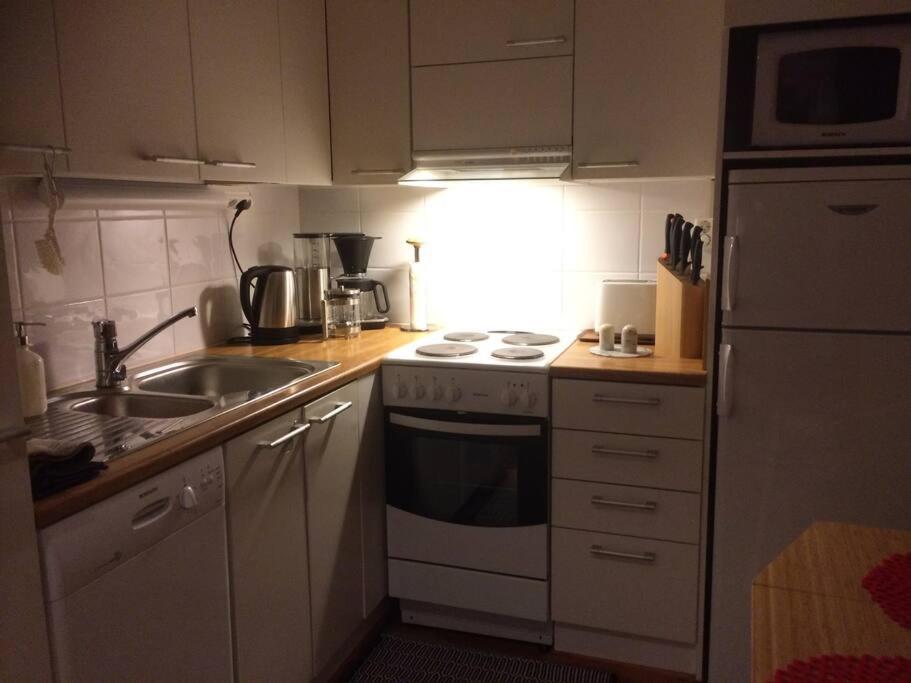 Artic Bouleward Home Rovaniemi Kültér fotó